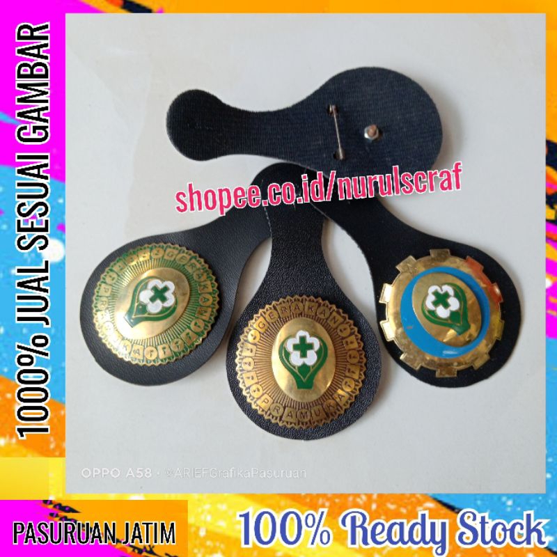 tanjab saka bakti husada pimpinan pamong dewan