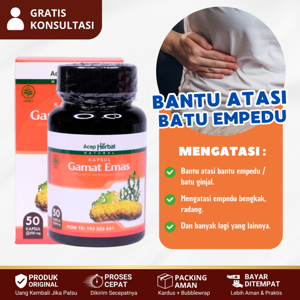 Obat Empedu Bengkak, Batu Empedu, Radang Empedu, Polip Empedu, Sakit Empedu - Kapsul Gamat Emas