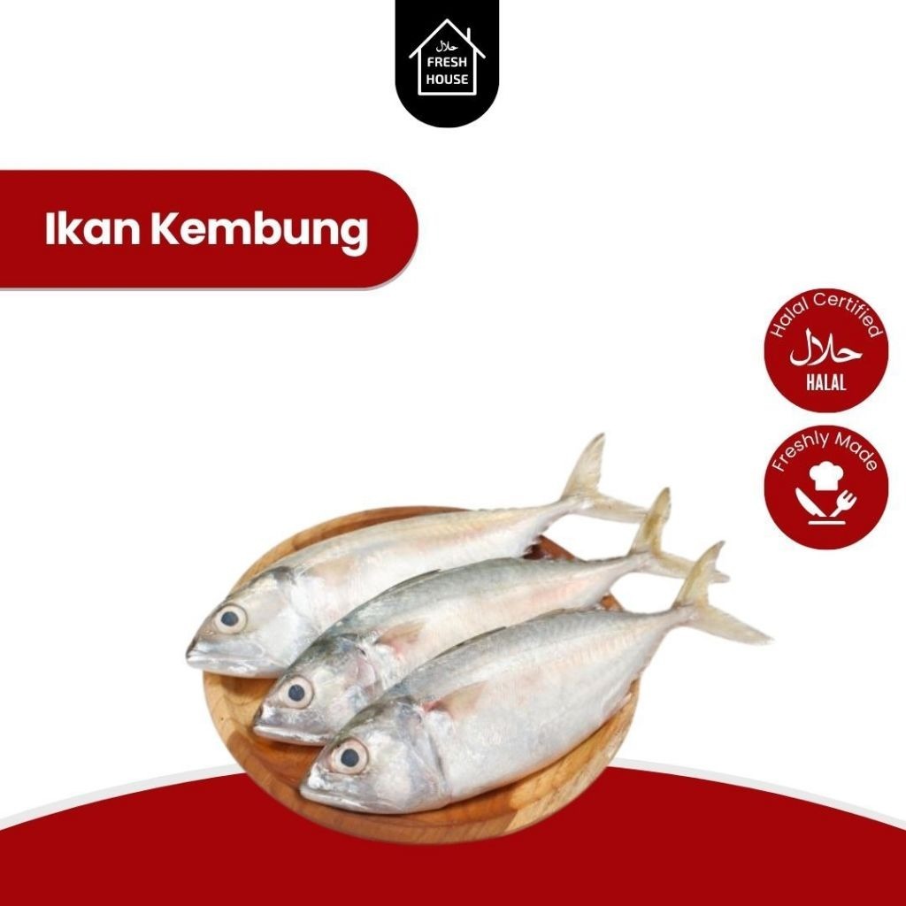 

IKAN KEMBUNG BANJAR FROZEN