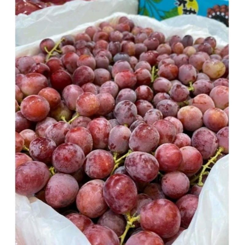 

BUAH ANGGUR 500 GRAM