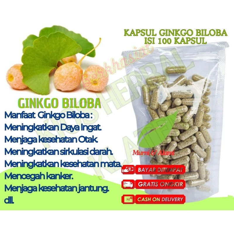 Serbuk Ginkgo Biloba/Gingko Biloba pohon rambut gadis isi 100 kapsul
