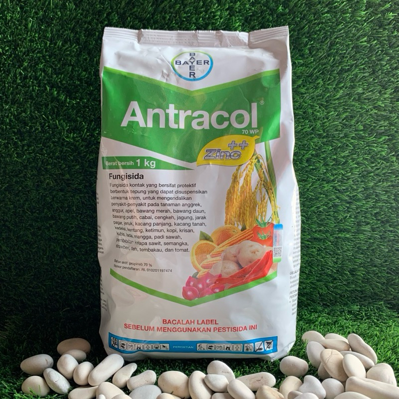 Antracol 70 WP 1 KG