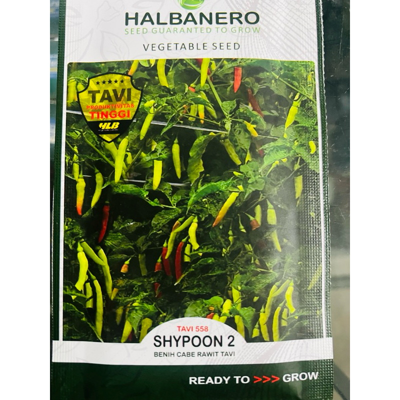 Benih Cabe Rawit Unggul SHYPOON 2 10 Gr Halbanero