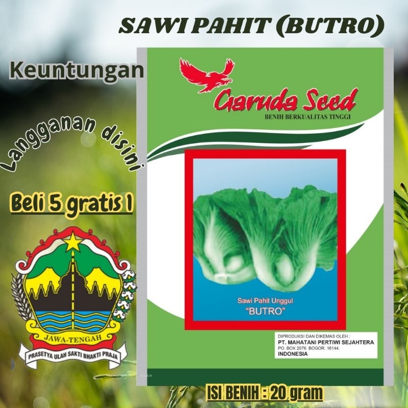 BENIH SAWI PAHIT MAROKOT ASLI KEMASAN PABRIK GARUDA SEED