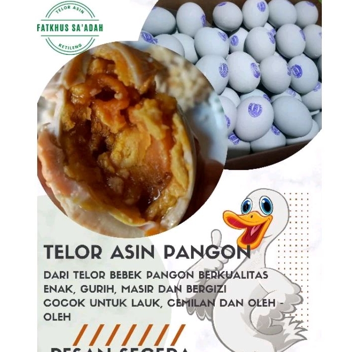 

Telor asin telur pangon telur bebek telur tegal brebes telur asli telur murah telur masir telur matang telur berminyak