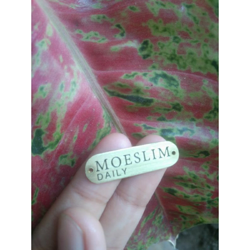 

label plat hijab dari gold & silver