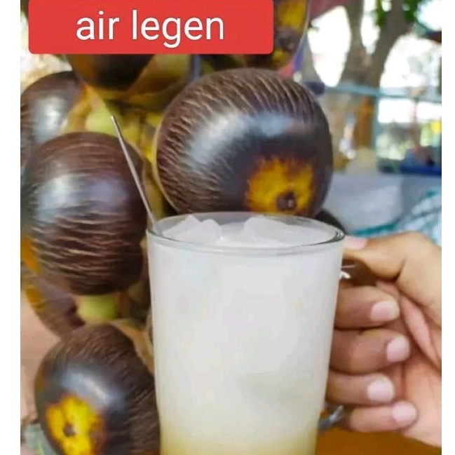 

Legen Murni melalui proses penyulingan / Air Nira Siwalan (bisa melancarkan saluran kemih, menghilangkan capek punggung, serta mampu meluruhkan batu ginjal semarng