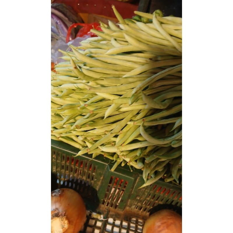 

buncis beby 1kg PROMO