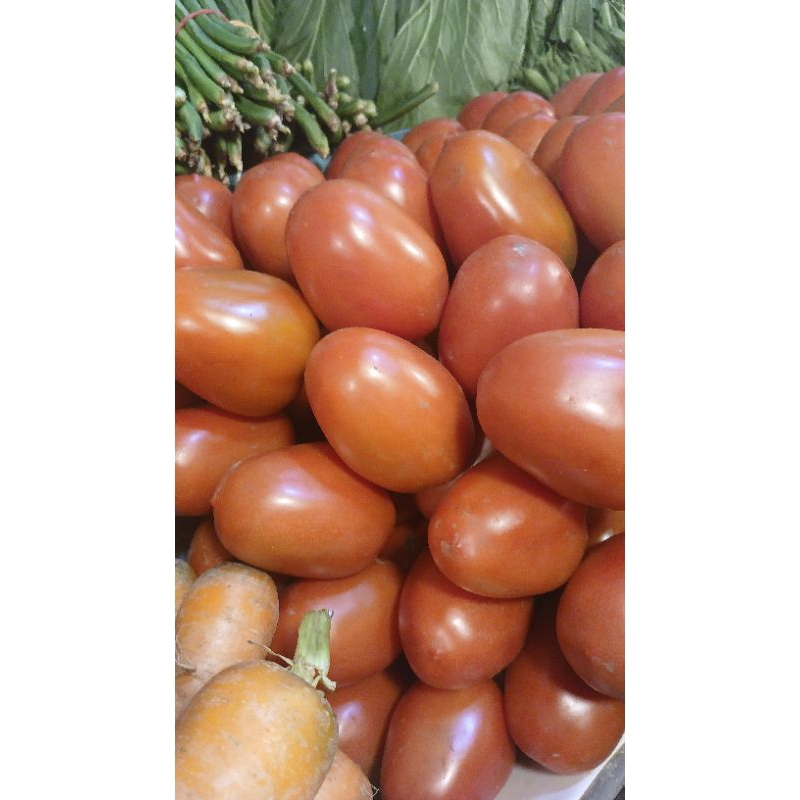 

tomat merah fresh 300gram