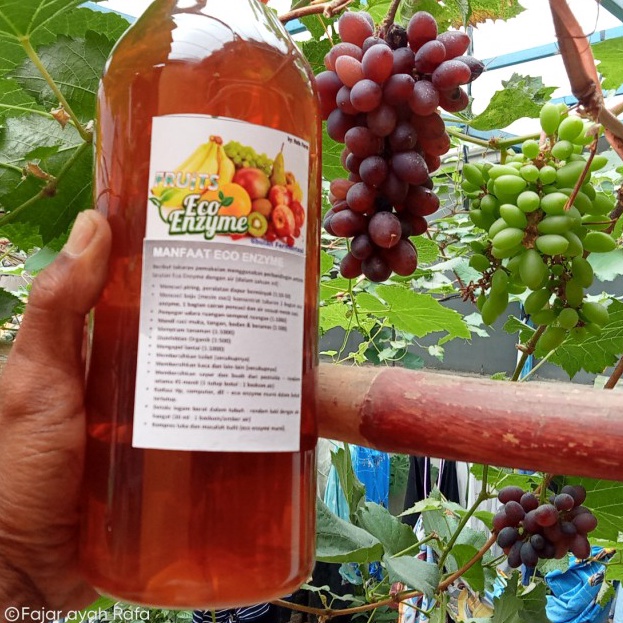 

Eco Enzyme 1liter kemasan baru