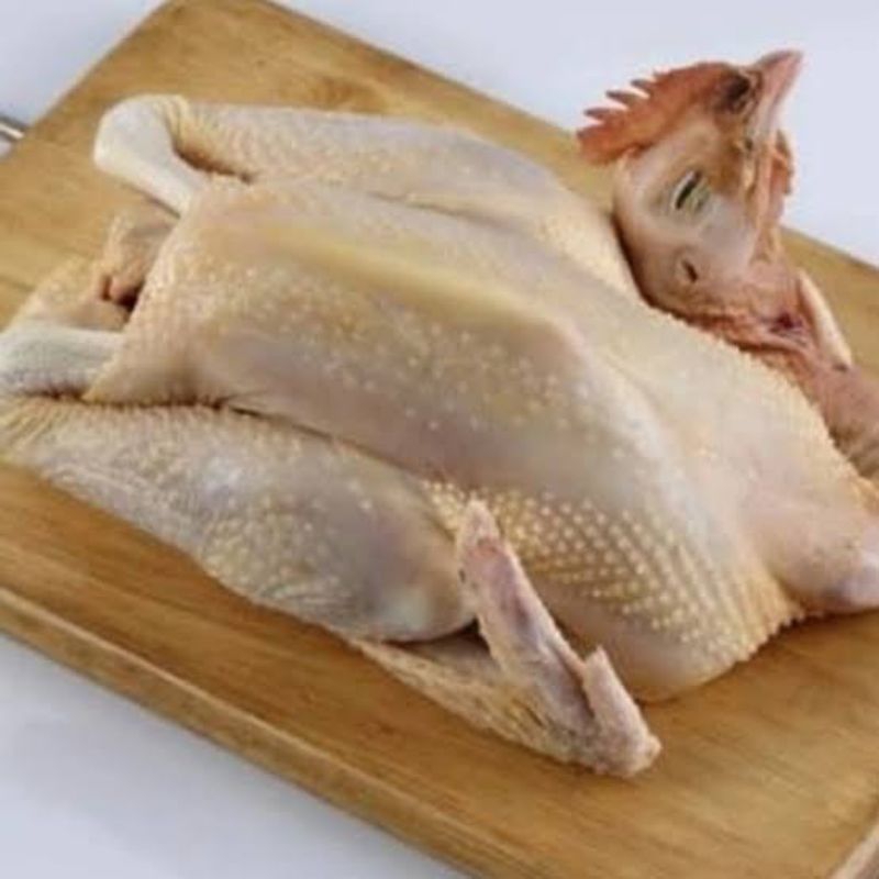 

AYAM PEJANTAN 1 EKOR [0,8] KG