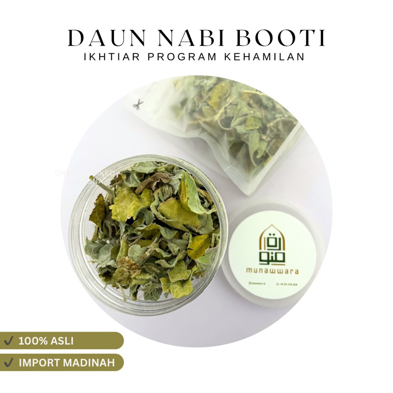 

[Munawwara.id] Daun Nabi Booti (Usybatul Madinah) Daun Promil Asli Madinah Saudi Arabia | Program Kehamilan | Herbal Promil Gangguan Hormonal