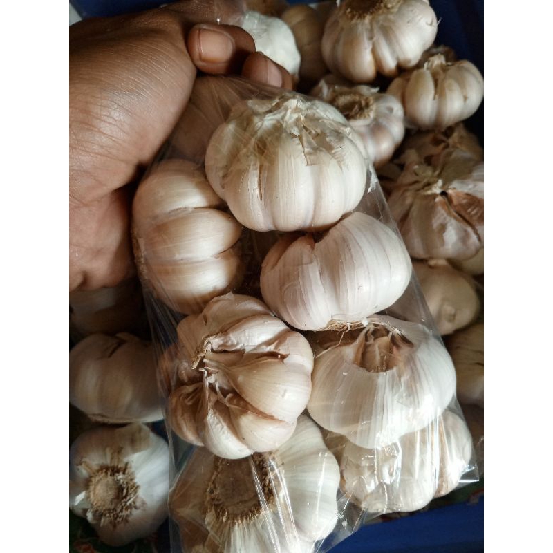 

Bawang Putih Kering 1kg