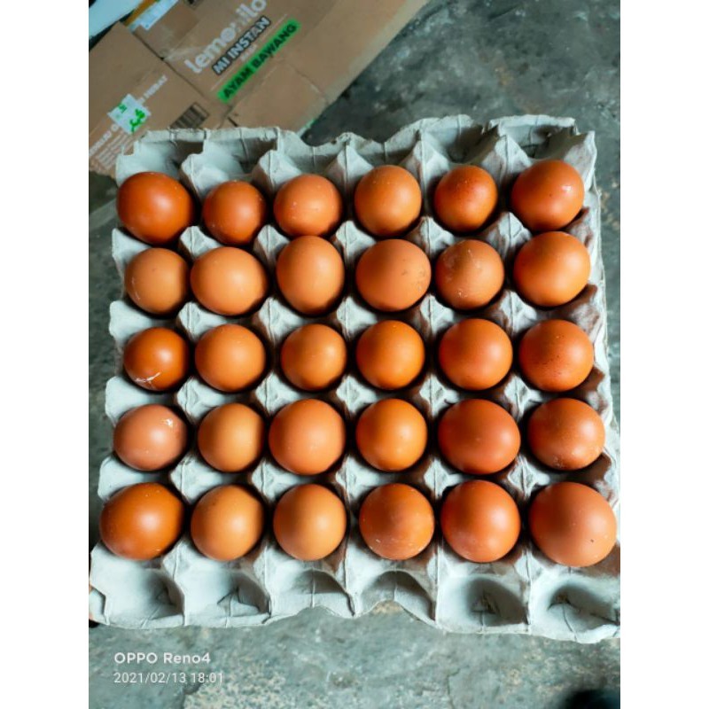 

PROMO !!! Telur Ayam Negri PerKg telor