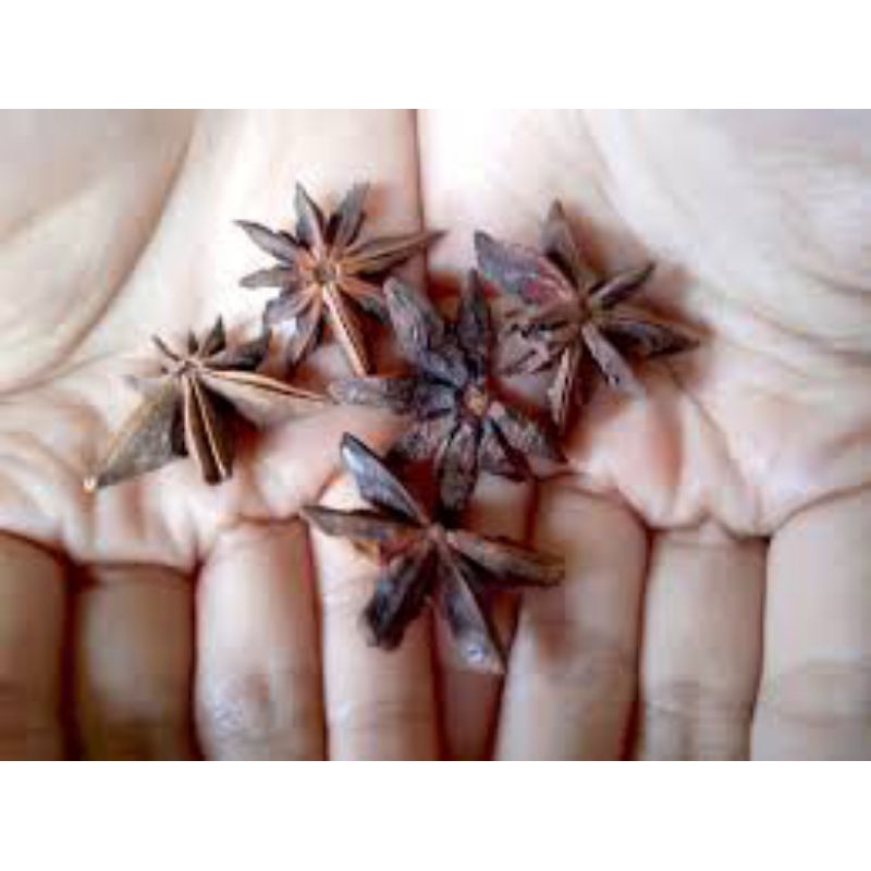 

bunga lawang 10gram
