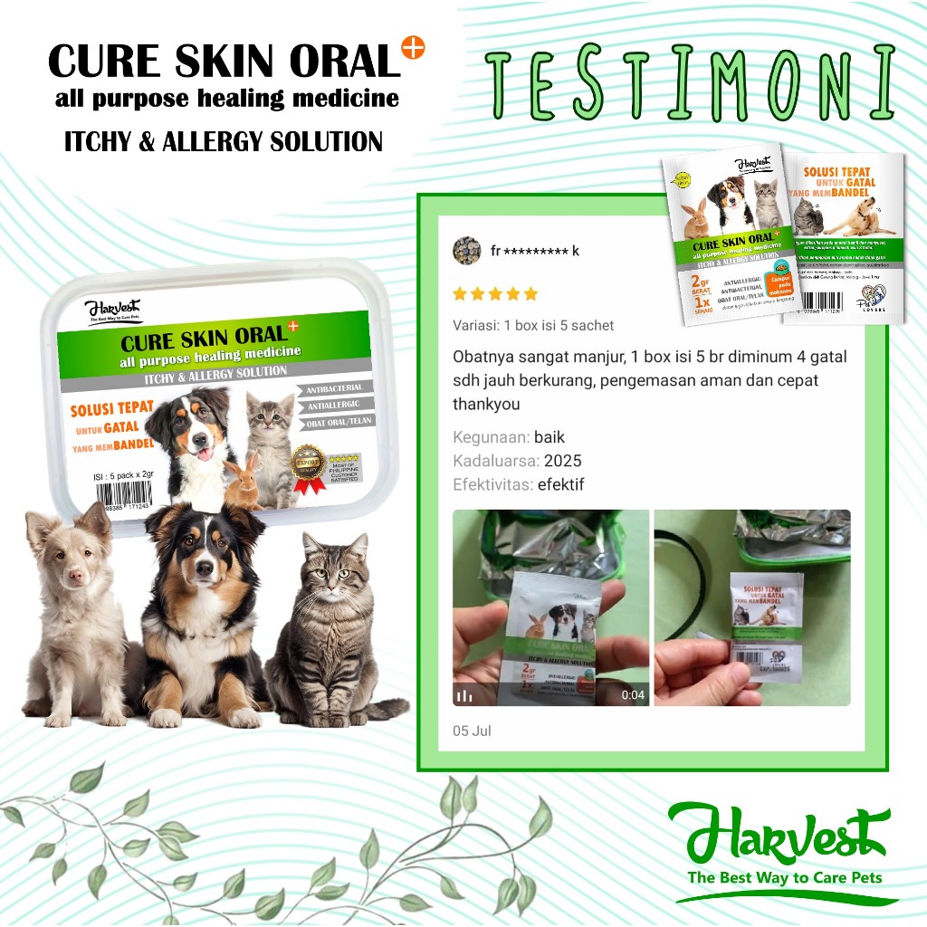 Artavela45 Obat Oral Minum Kucing Anjing Gatal Membandel Over Protein Alergi Infeksi - Harvest Cure