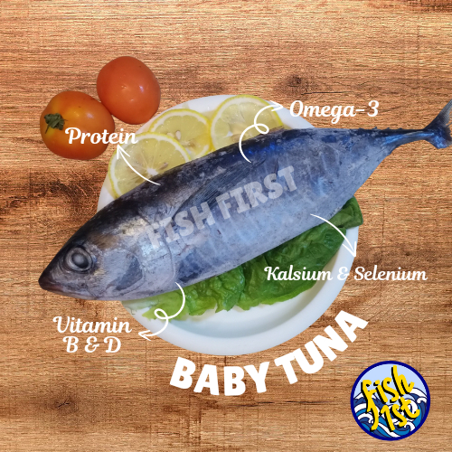 

FishFirst - Fresh Frozen Baby Tuna Fish / Ikan Tuna Beku Kapal Segar
