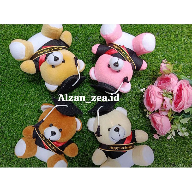Boneka Wisuda Boneka bear 15cm