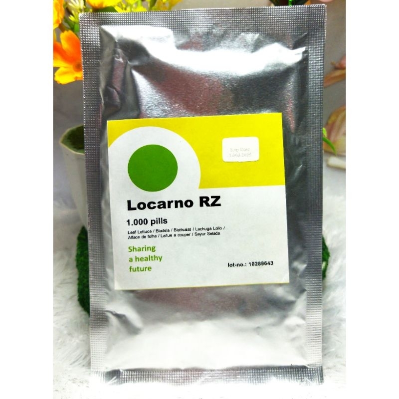 Benih Bibit Selada Locarno RZ 1000 Pills Rijk Zwaan