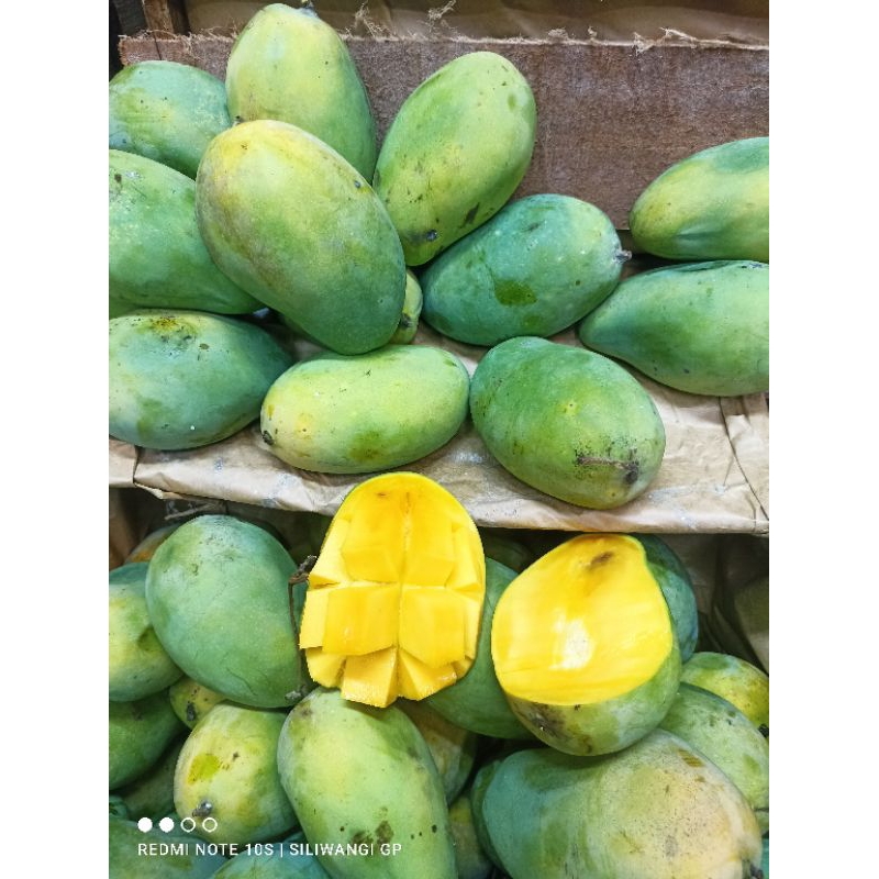 

mangga harumanis 1kg