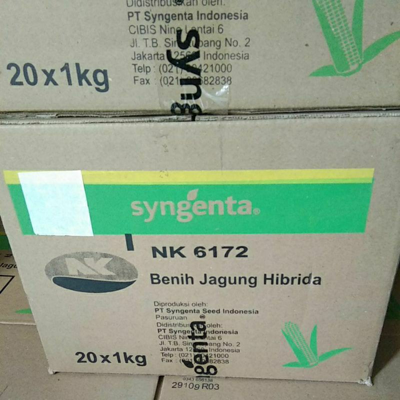 

perkasa paket 1 karton# bibit perkasa