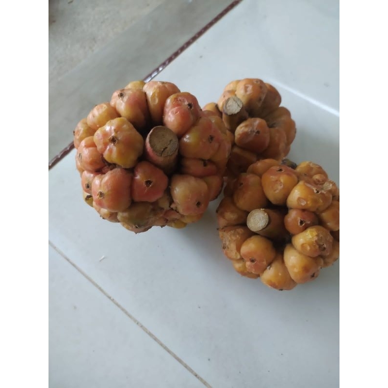 

Asam medan asam sihala patikala cikala bumbu arsik 250g