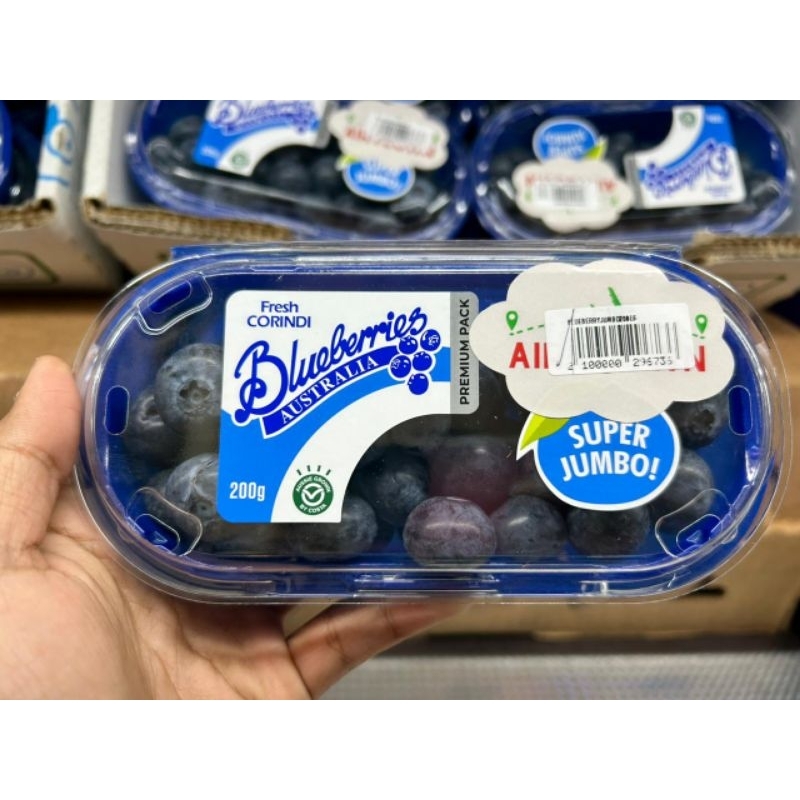 

Blueberry Fresh Corindi Super Jumbo Australia 200 Grm