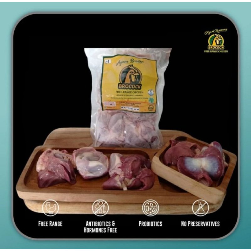 

AYAM BROILER BROCOCK HATI AMPELA (300-350GRAM)
