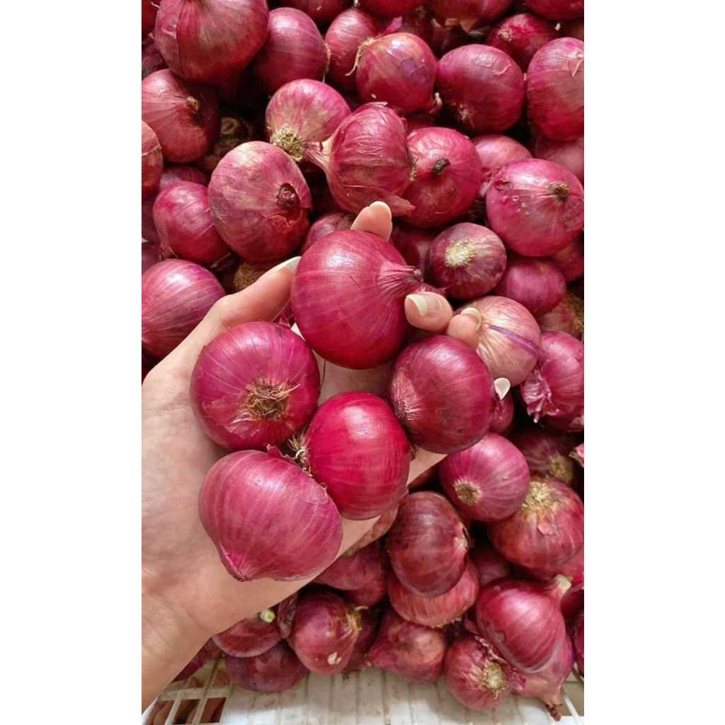 

BAWANG MERAH INDIA - BAWANG MERAH PEKING - HARGA 1KG