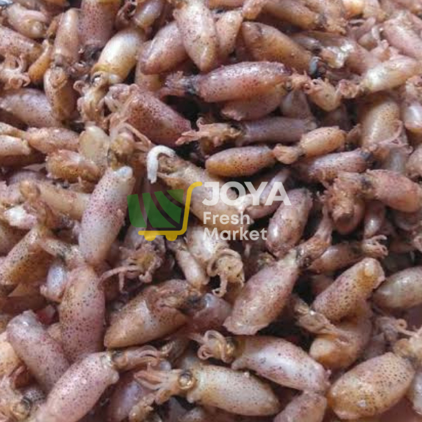 

Joya Fresh - Baby Cumi Asin/Baby Cumi Sedang/Cumi Kering/Grade A/Seafood Kering