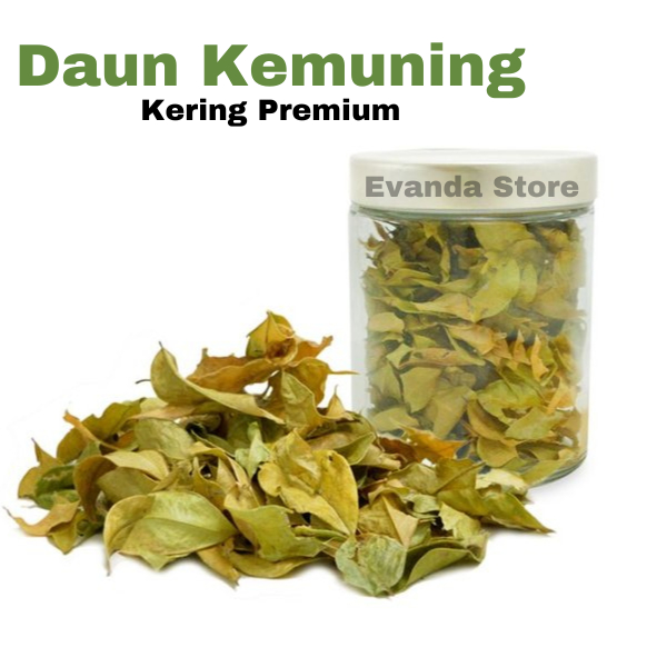 

TERMURAH 1kg Daun kemuning kering kualitas premium