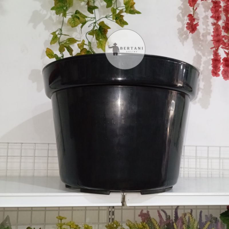 Pot Hitam Polos Ukuran 50 GL Global Lion