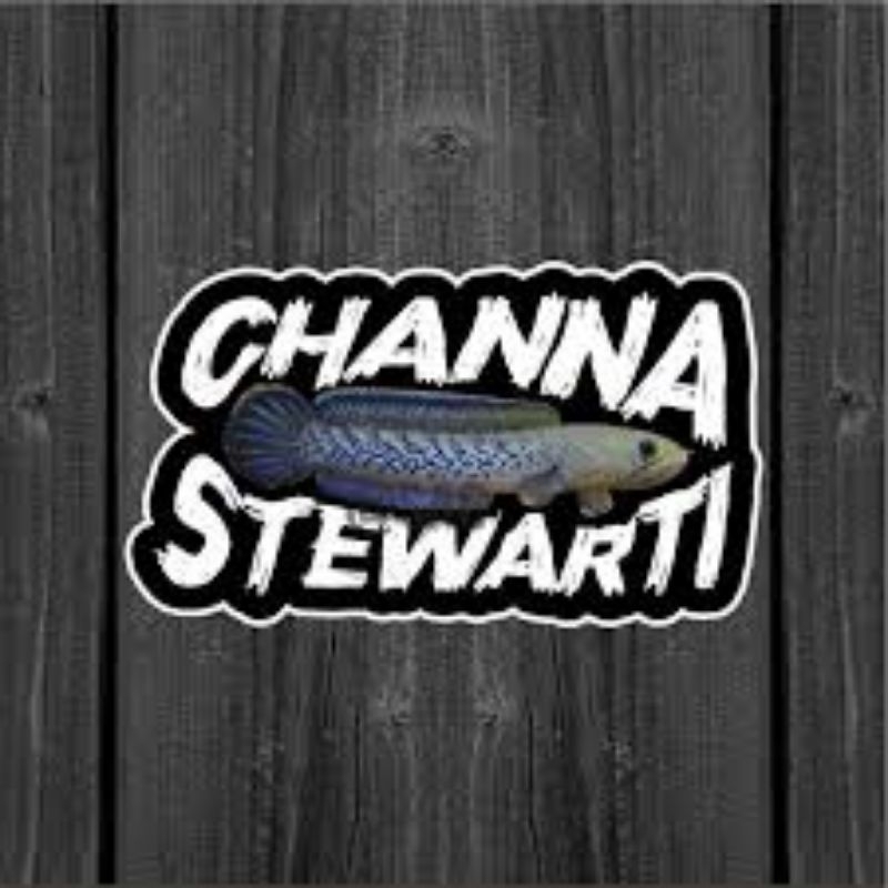 

Stiker Stewarti Anti air