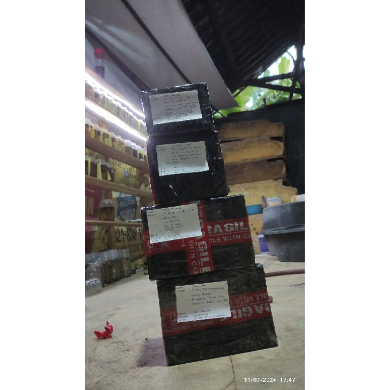 

kardus packing ikan cupang