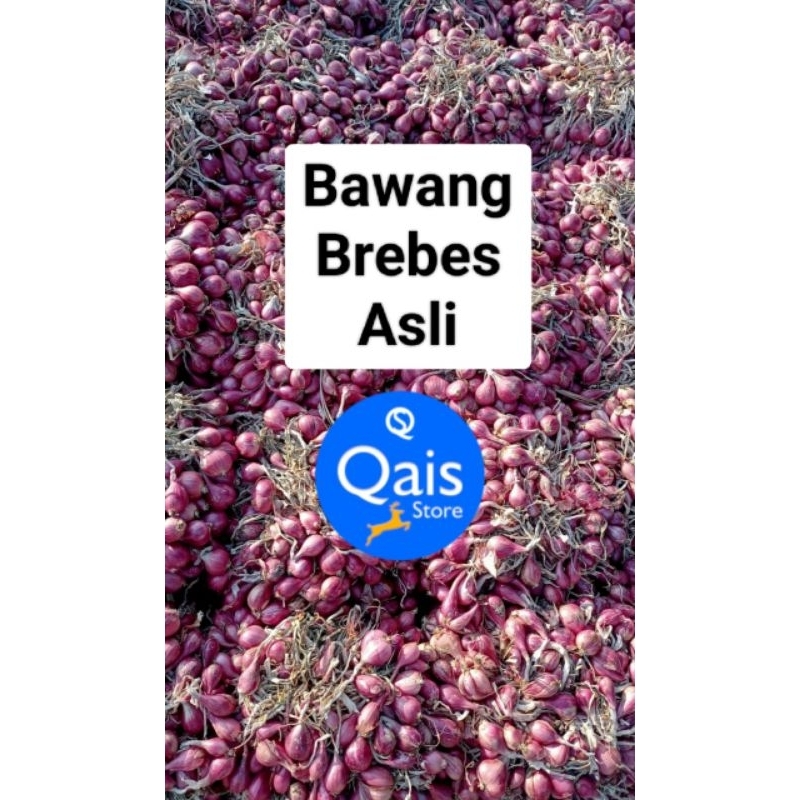 

Bawang Merah Brebes, Brambang, Bawang Merah Super