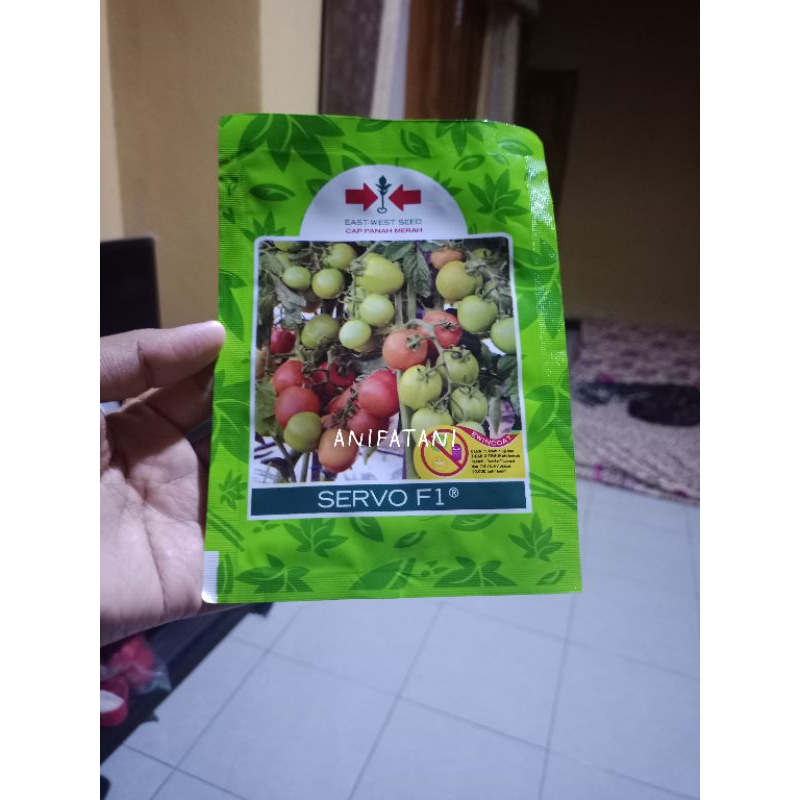 benih tomat servo f1