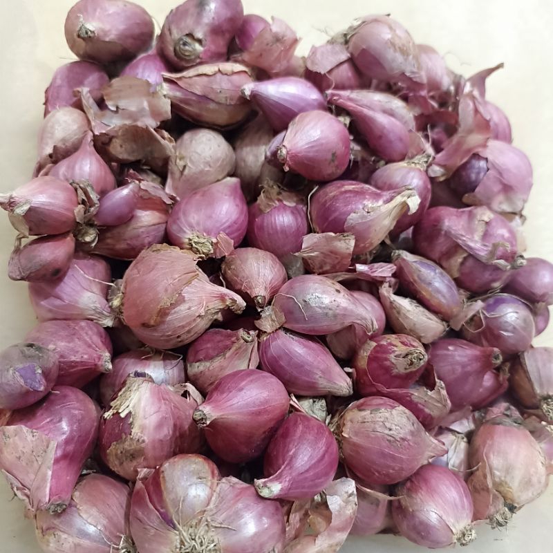 

bawang merah UKURAN KECIL