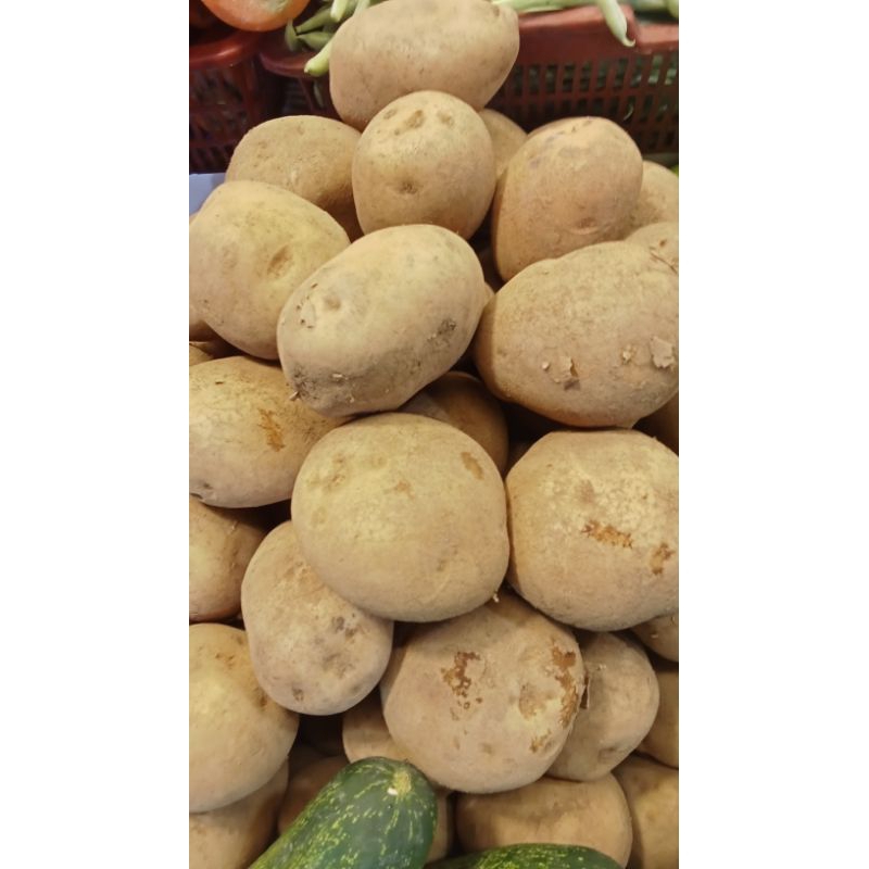 

kentang Dieng kuning1kg
