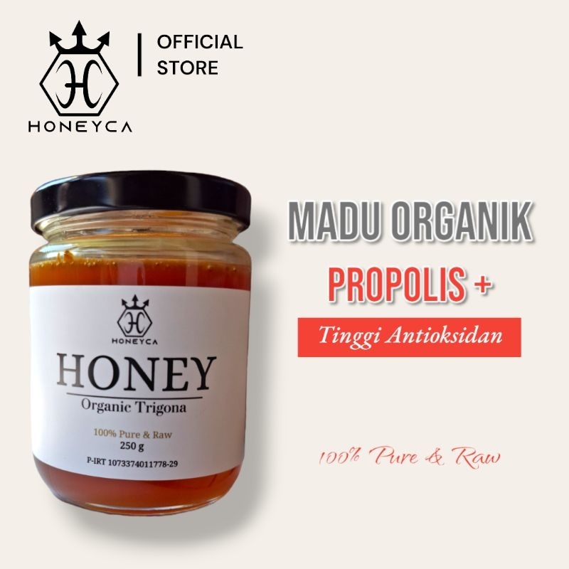 

Madu Asli (Raw Honey) Klanceng Hutan / Madu Trigona / Madu Organik