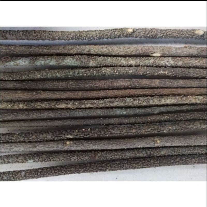 Tangkringan Burung Kayu Asem Bali 10 Pcs Tangkringan Sangkar Burung Kayu Asem Bali Panjang 65cm