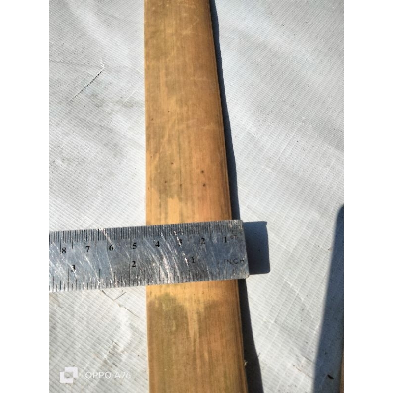 billah bambu  Pring apus pilihan  ajir tanaman  tiang bellah 10 batang