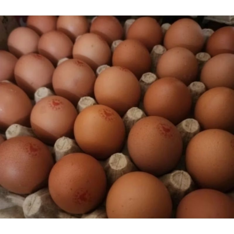 

Telur Royal Omega 15 butir