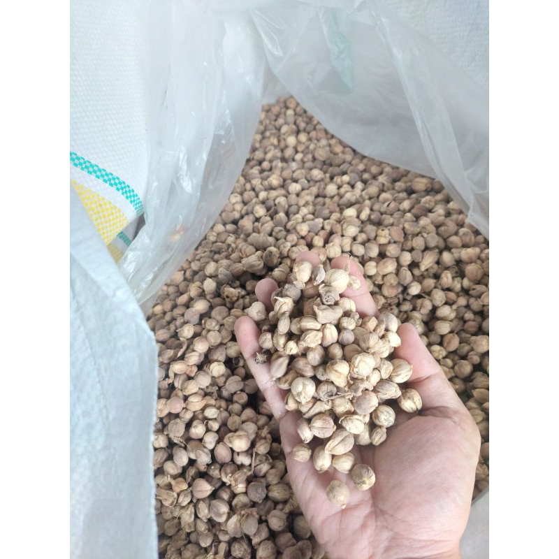 

kapulaga kering berat 1kg