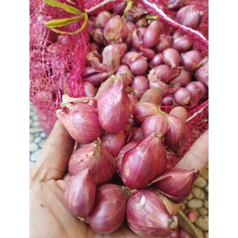 

bawang merah super kring 1kg