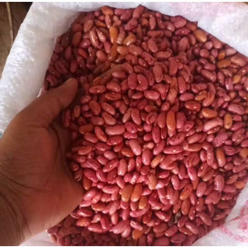 

kacang merah 250 gr