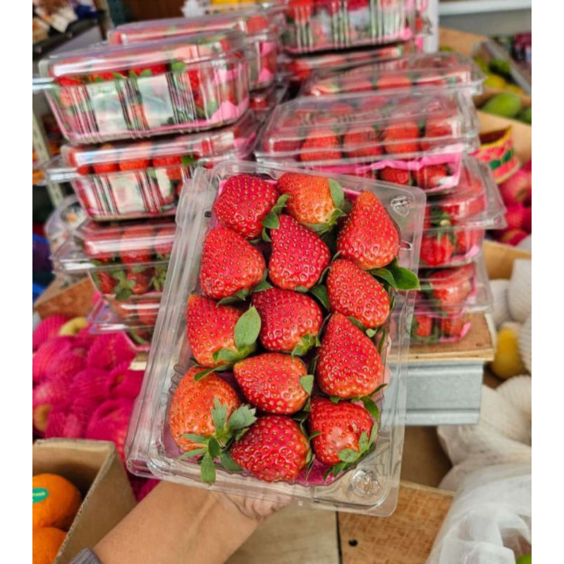 

stroberi fresh 300gr, kemasan mika