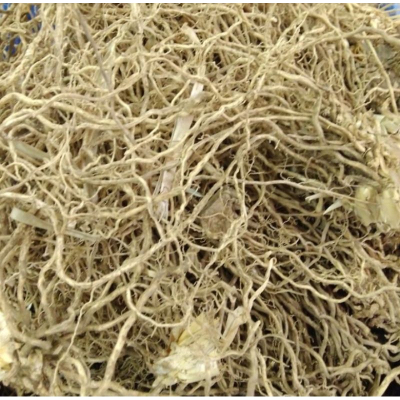 

Akar Wangi Asli Murni Premium