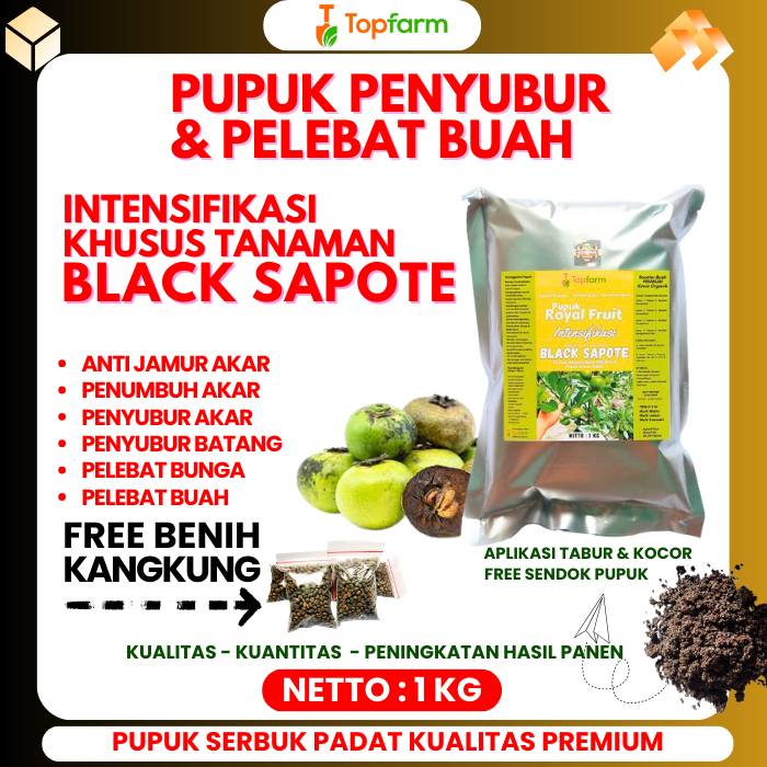 Pupuk Buah Black Sapote Terbaik / Pupuk Booster Pohon Black Sapote / Pupuk Pembesar Buah Black Sapot