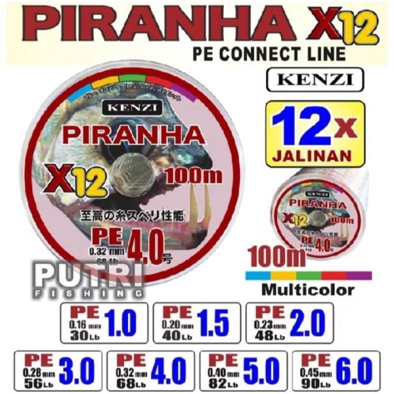 pe piranha x12 100m pe 1 sampe 6 connecting, multicolor