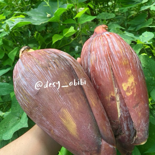 

jantung pisang kepok